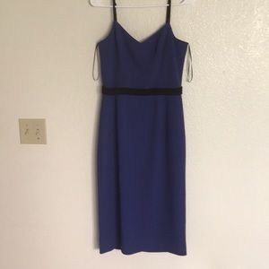 Cobalt Blue Dress